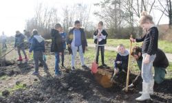 Plantations Cavalier   032